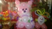 WP_20170218_22_17_14_Pro